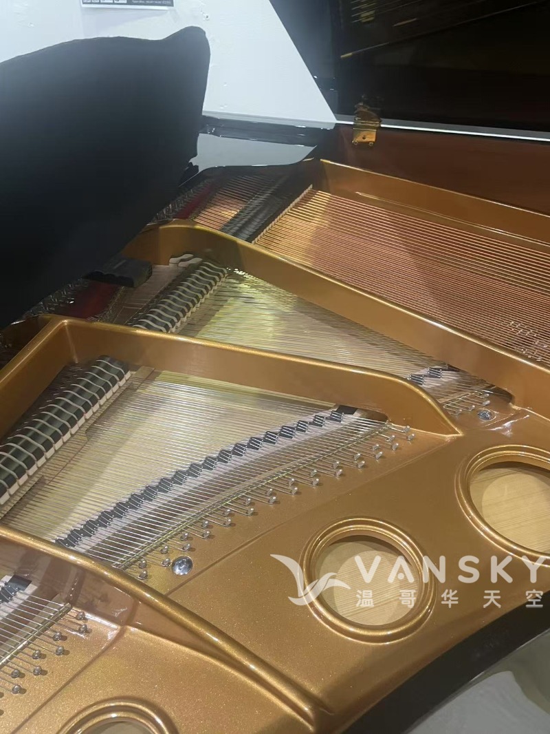 250514172902_小三角 Knabe 4.jpg